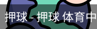 押球